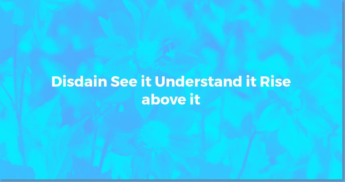 Decoding Disdain: How to Recognize It, Understand the Psychology, and Respond Effectively