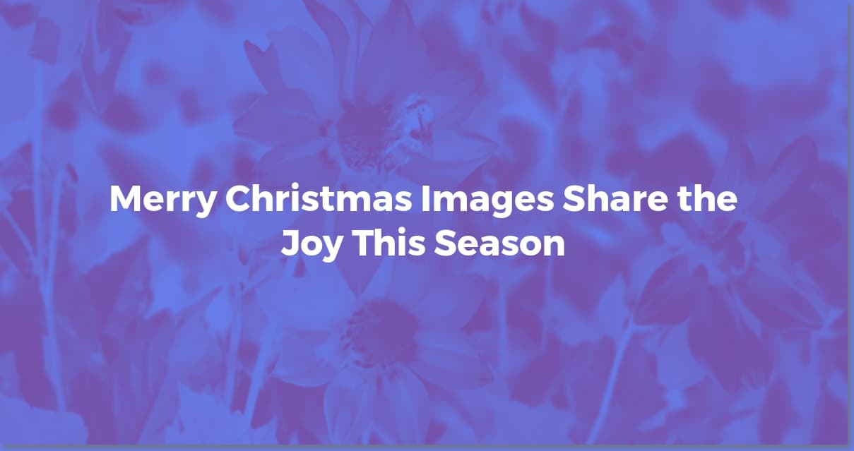 Merry Christmas Images: Free, Festive & Unique!