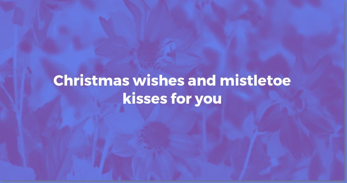Mistletoe Kisses: Heartfelt Christmas Wishes for Loved Ones