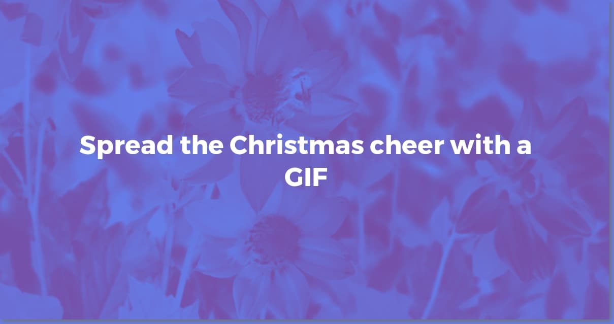 Festive Merry Christmas GIFs to Share the Holiday Cheer!