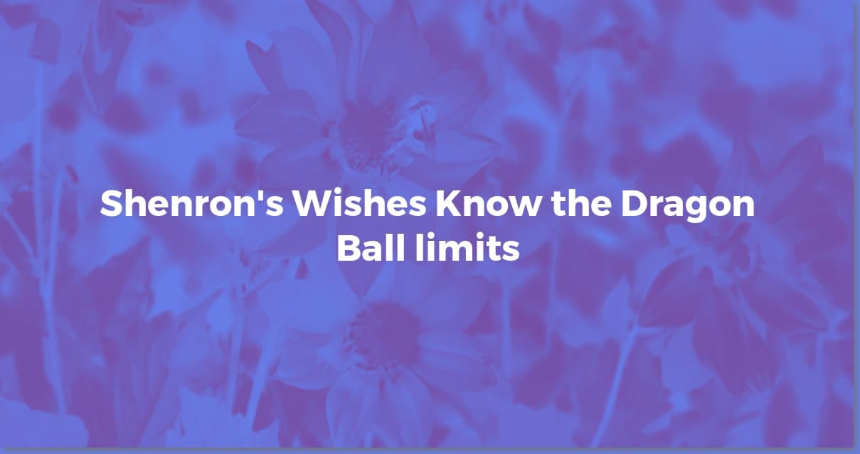 Shenron's Wishes: The Definitive Dragon Ball Guide