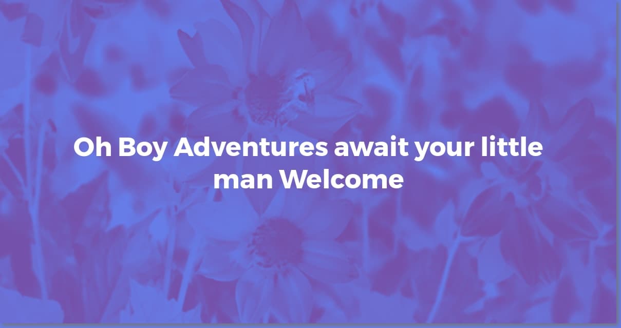 Baby Boy Shower Wishes: Perfect Messages & Quotes