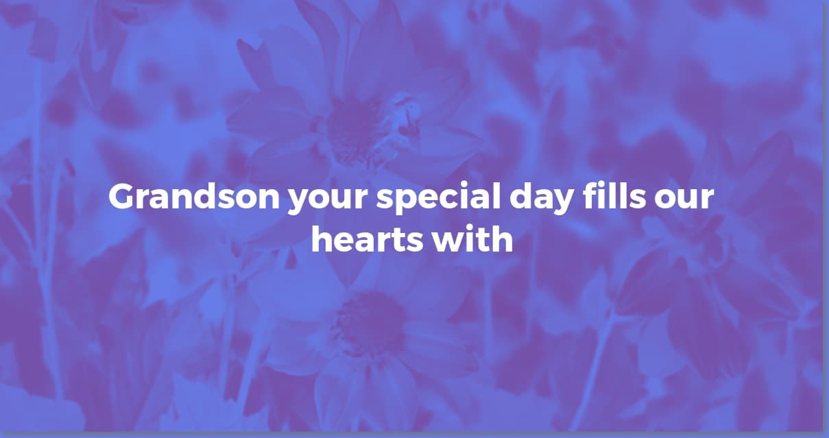 Heartfelt Birthday Wishes for Your Grandson