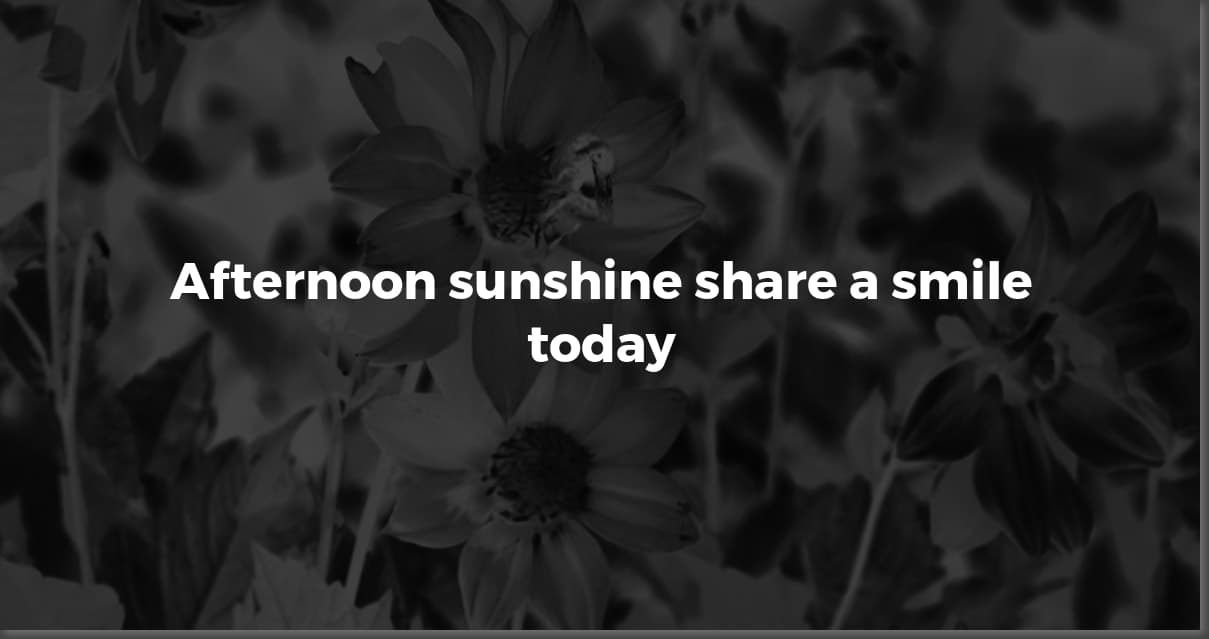 Good Afternoon Messages: Make Their Afternoon Special!