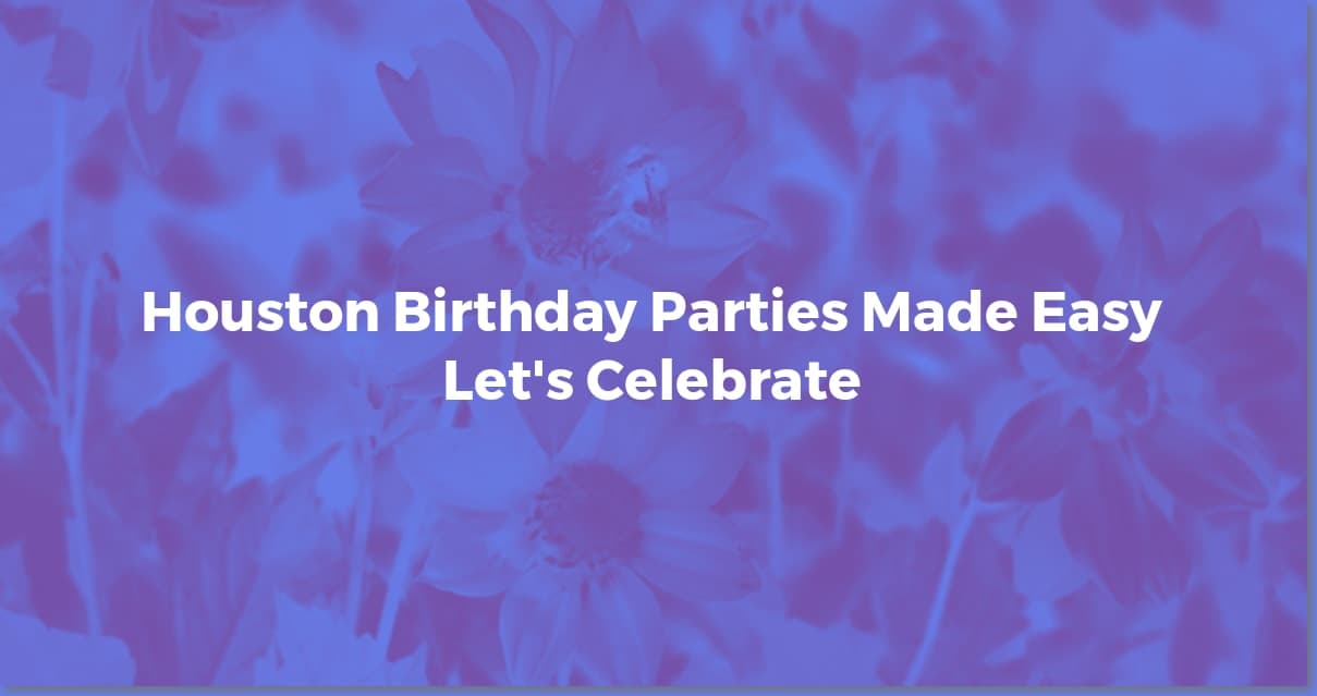 Houston's Best Birthday Party Venues: Find Yours Now!