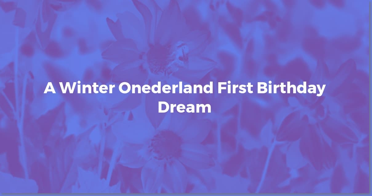 DIY Winter Onederland: Budget-Friendly 1st Birthday Bash!