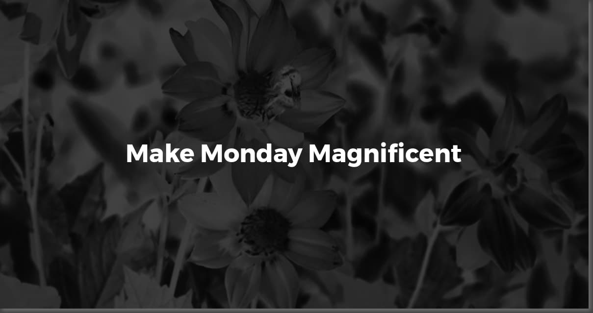 Monday Motivation: Quotes & Tips for a Positive Week
