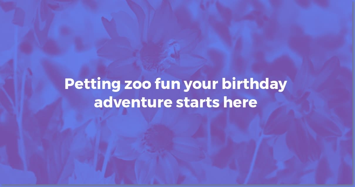 Petting Zoo Party: Plan the Perfect Animal Birthday Bash!