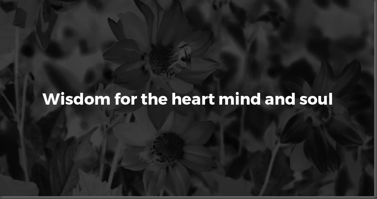 Bell Hooks Quotes: Wisdom on Love, Feminism & Justice