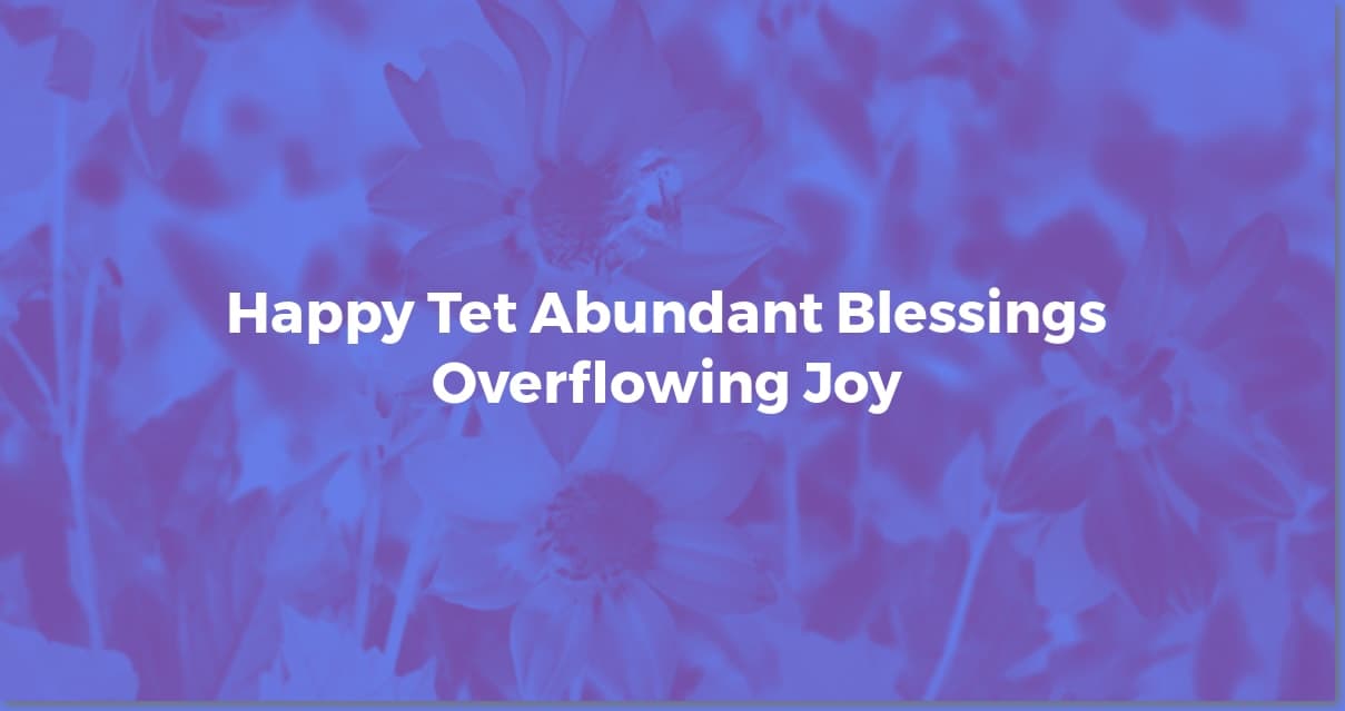 Heartfelt Tet Wishes: Celebrate Vietnamese New Year!