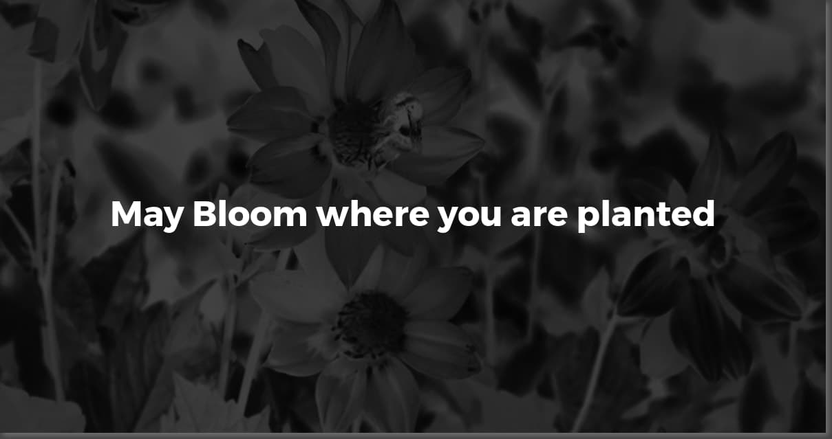 May's Short & Sweet Inspiration: Quotes to Bloom By