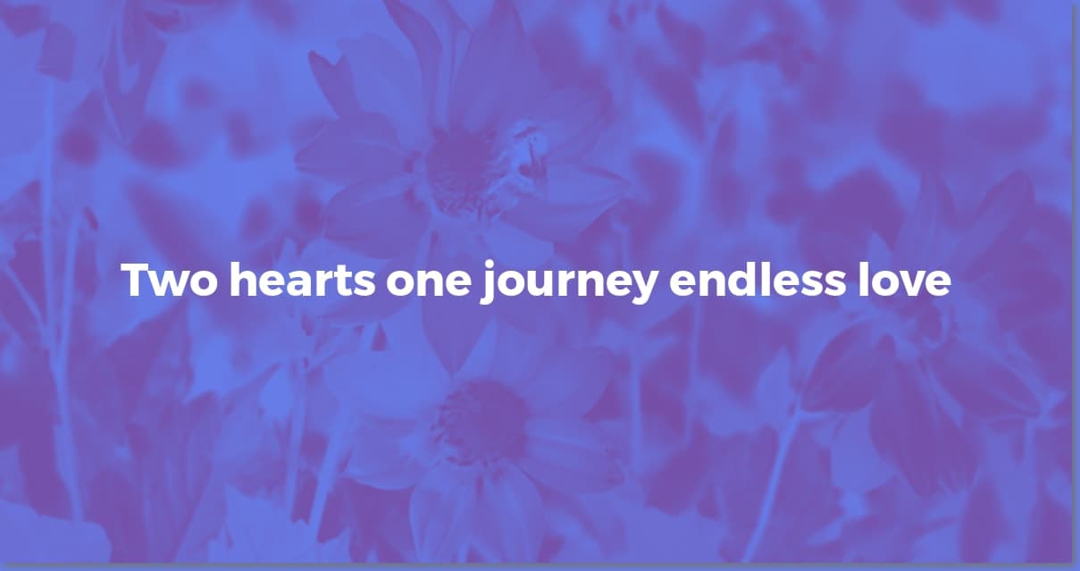 Perfect Wedding Wishes: Heartfelt Messages & Inspiration