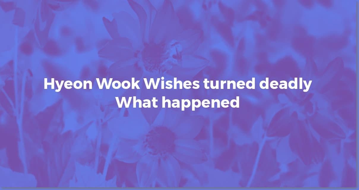 Hyeon Wook: "If Wishes Could Kill" Controversy Explained