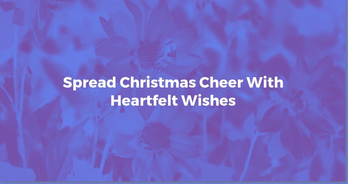 Merry Christmas Wishes: Messages for Everyone on Your List!
