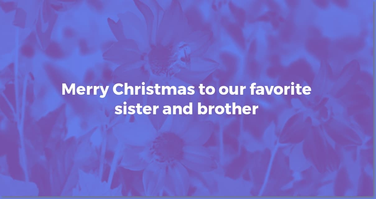 Christmas Wishes: Sister & Brother-in-Law (Heartfelt & Funny!)