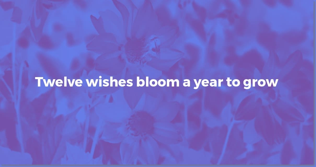 12 Wishes for a Better Year: Intention to Action