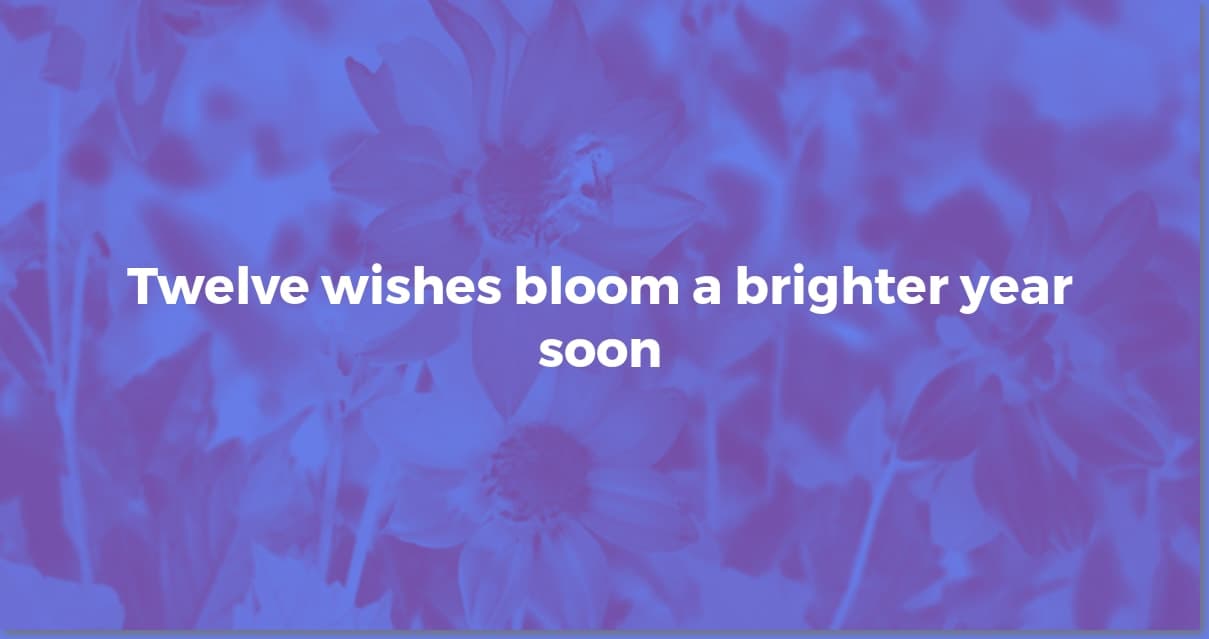 12 Wishes for a Joyful & Mindful New Year