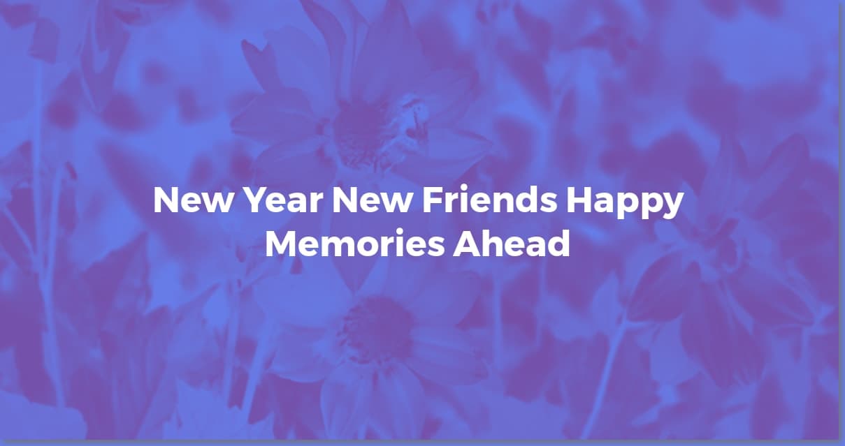 New Year Wishes for Friends: Heartfelt & Hilarious!