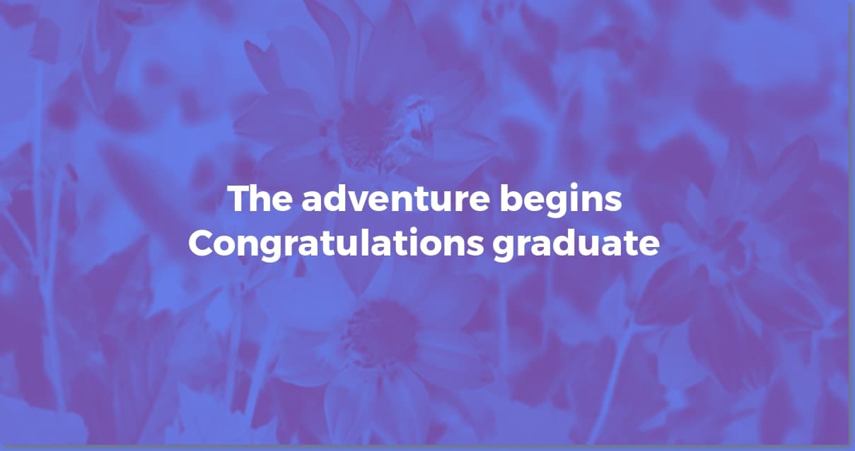Graduation Wishes: Perfect Messages for Every Graduate