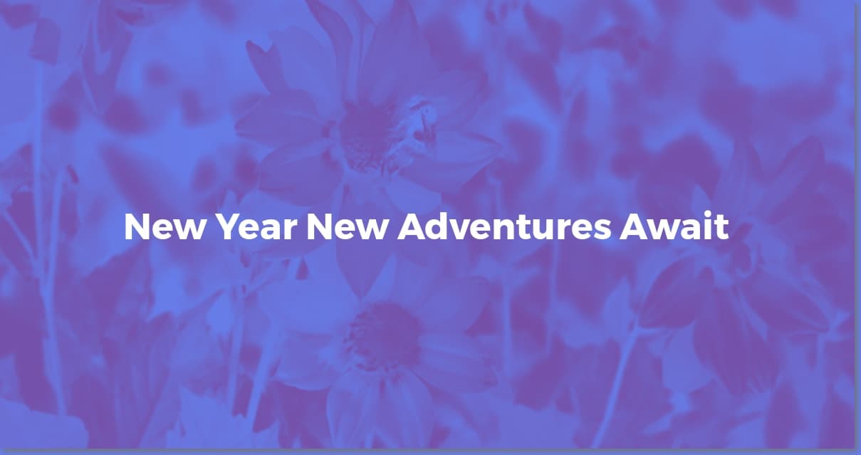 New Year's Wishes: Inspire a Happy 2024!