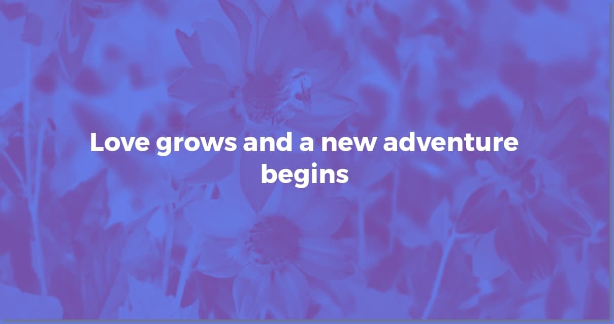 Baby Shower Wishes: Heartfelt Messages for Mom-To-Be