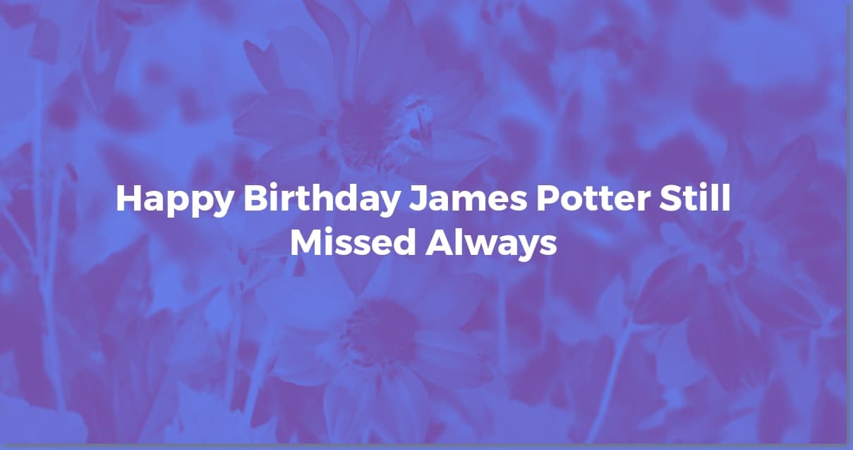James Potter's Birthday: A Marauder's Celebration!