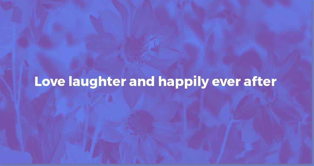 Short Bridal Shower Wishes: Quick & Sweet Messages
